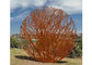Laser Cutting Rusty Corten Steel Metal Tree Garden Sculpture