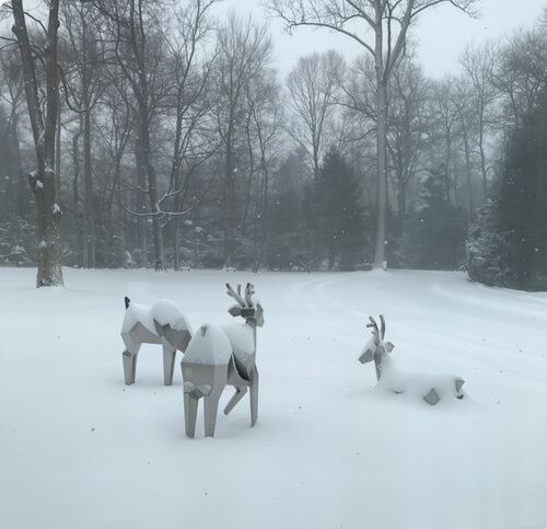 Последние блоги о компании Кристальное стадо: где природа встречается с геометрией