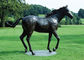 Большая бронзовая скульптура лошади, дизайн на открытом воздухе бронзовой лошади статуй античный поставщик